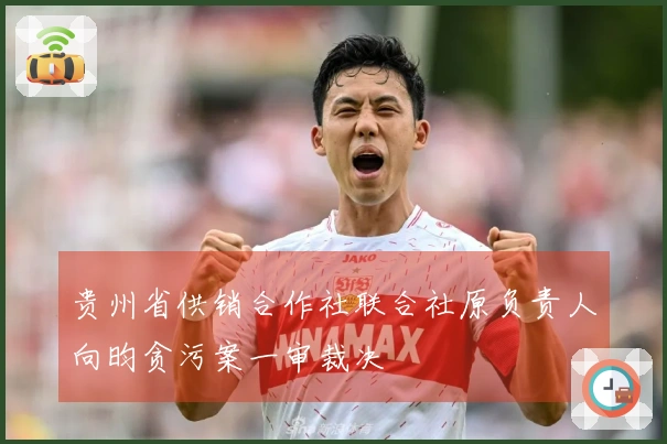 贵州省供销合作社联合社原负责人向昀贪污案一审裁决