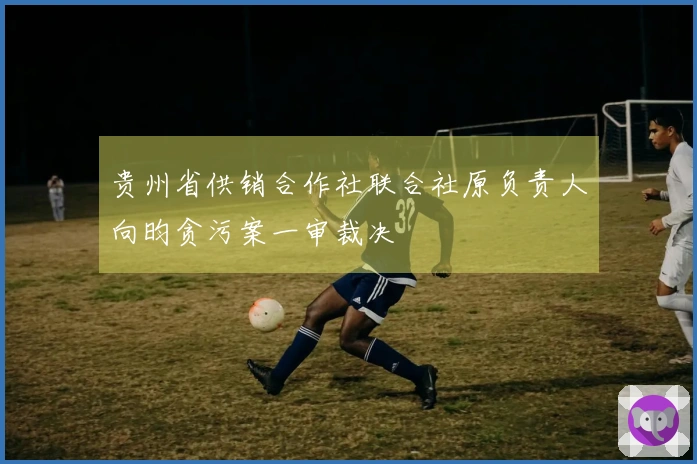 贵州省供销合作社联合社原负责人向昀贪污案一审裁决